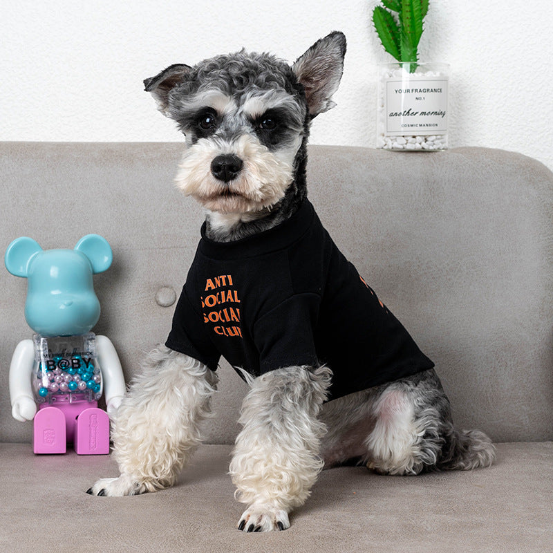 Modern Summer Clothes for Pets