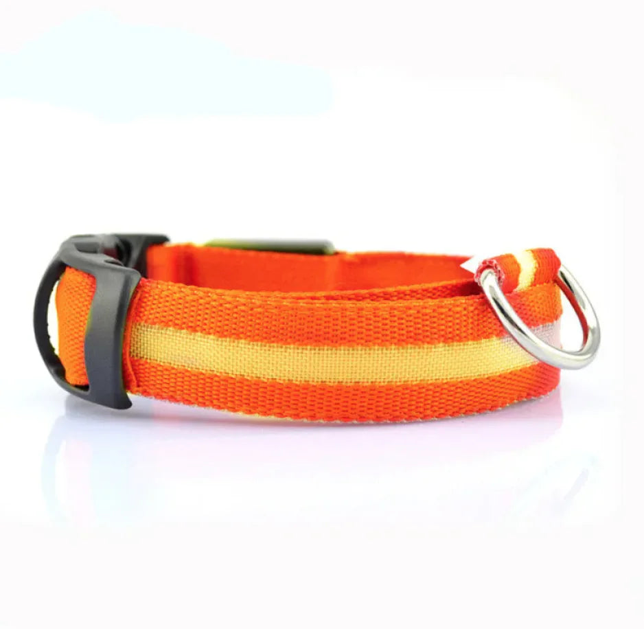 Collar de Seguridad con luz LED para perros
