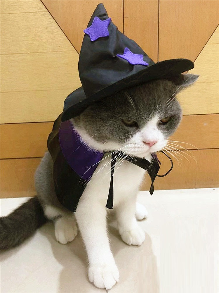 Satin Wizard Pet Costume