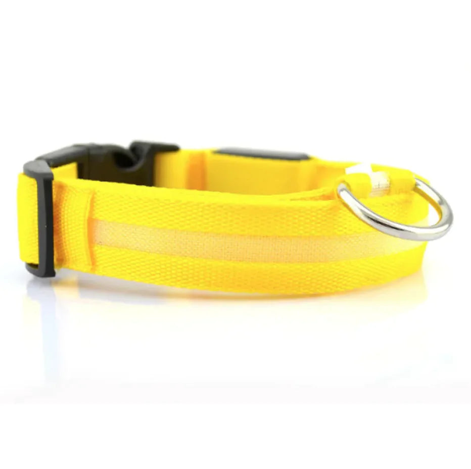 LED Safety Collar