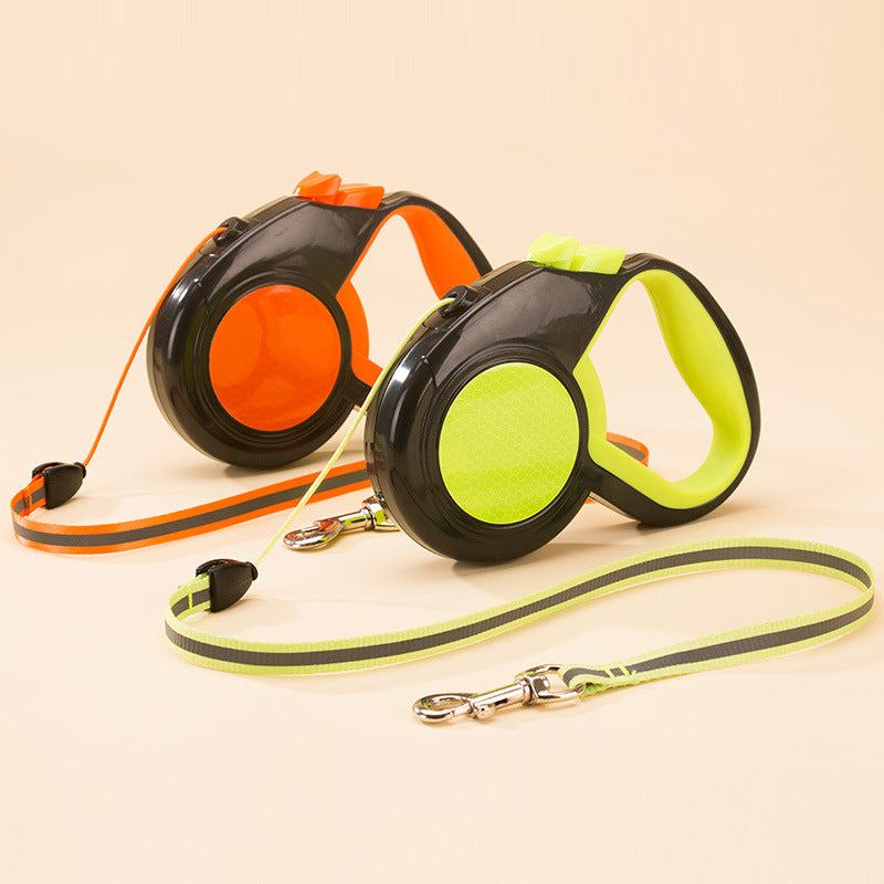 Reflective pet leash for added safety