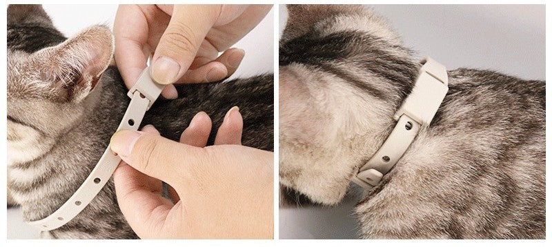 Nuevo Collar Antipulgas y Mosquitos para Gatos y Perros