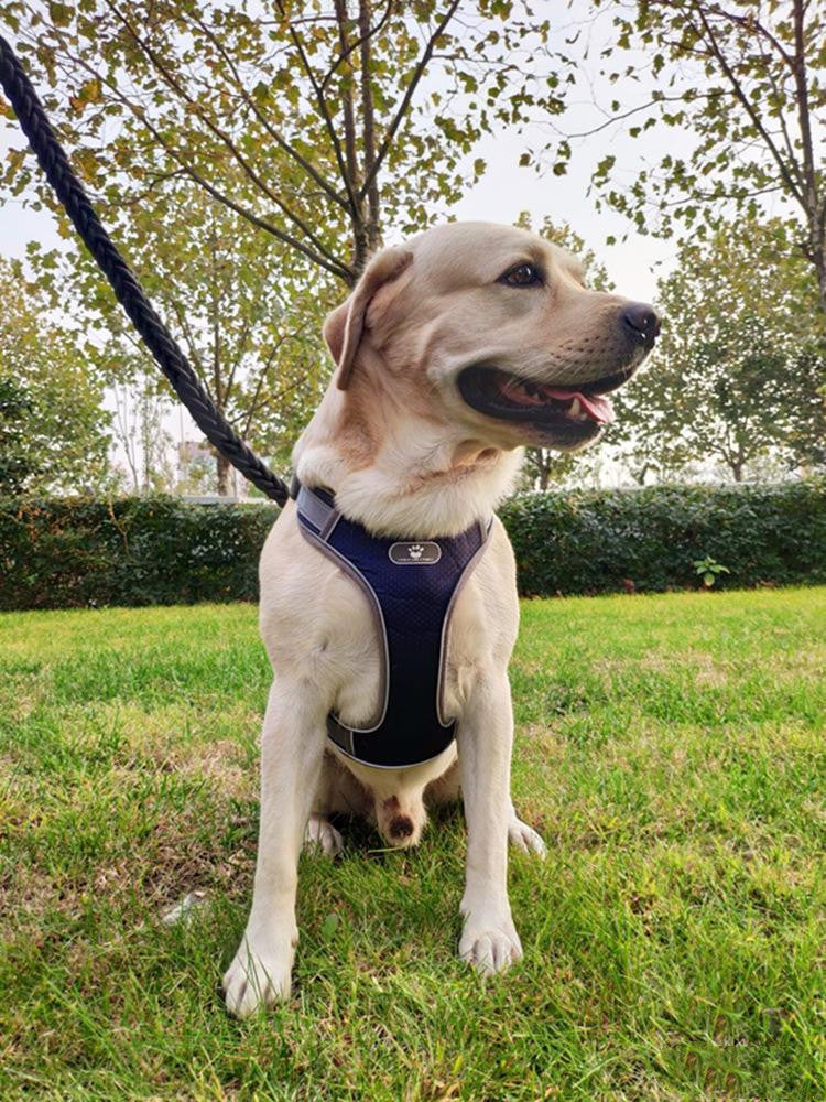 Arnés para Perros  en Forma de T Transpirable y Ajustable