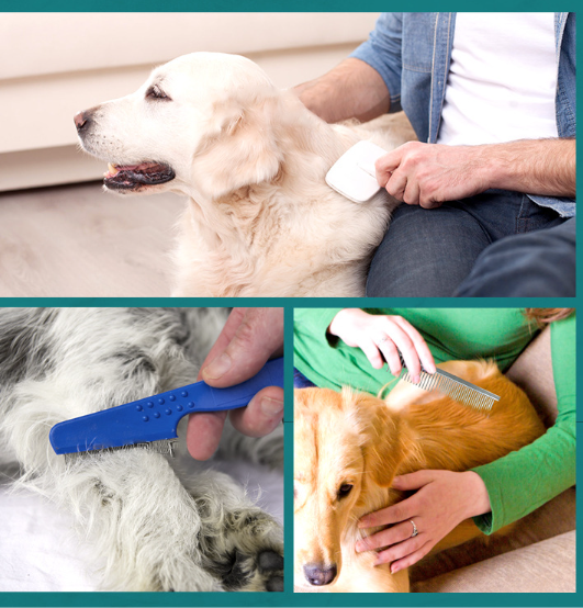 Set ideale per la cura degli animali domestici da viaggio