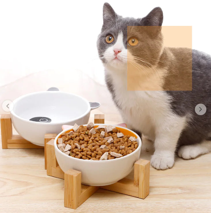 Cuenco de Cerámica con carita de Gato y Orejitas