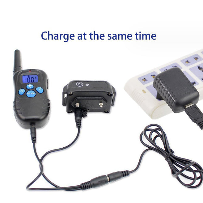 Equipo y accesorios para entrenamiento de perros