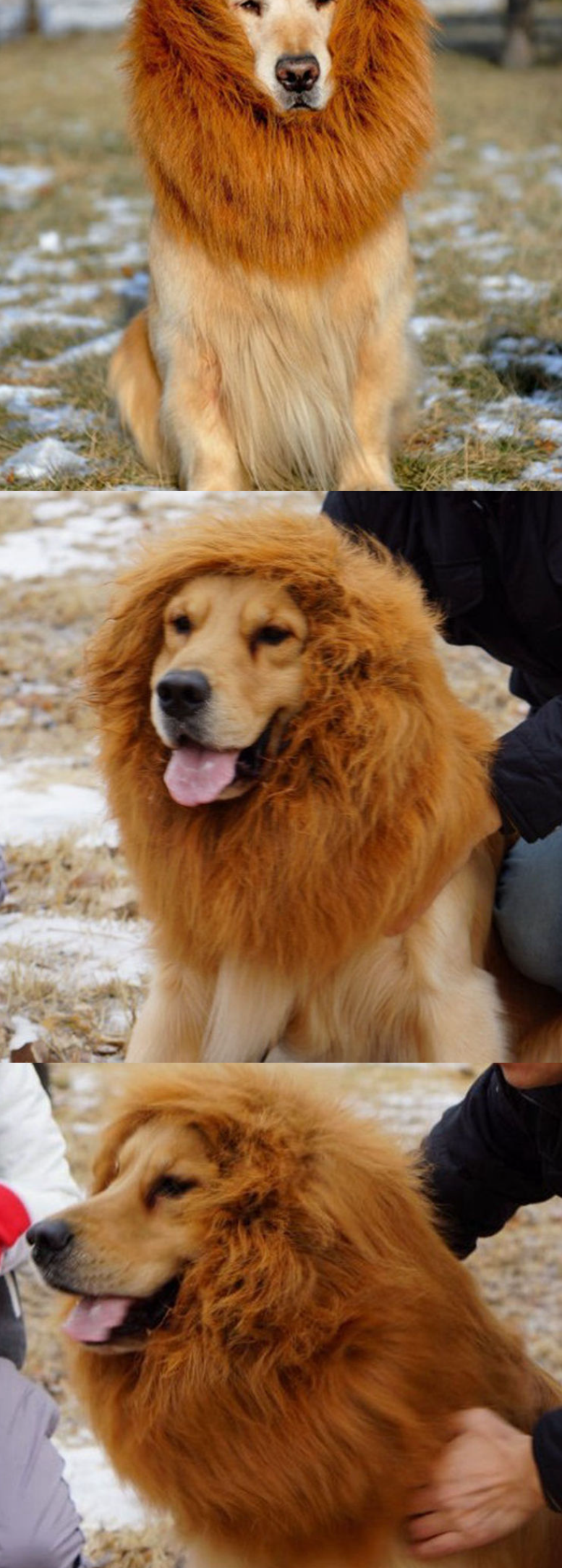 Disfraz de cabellera de león para perros
