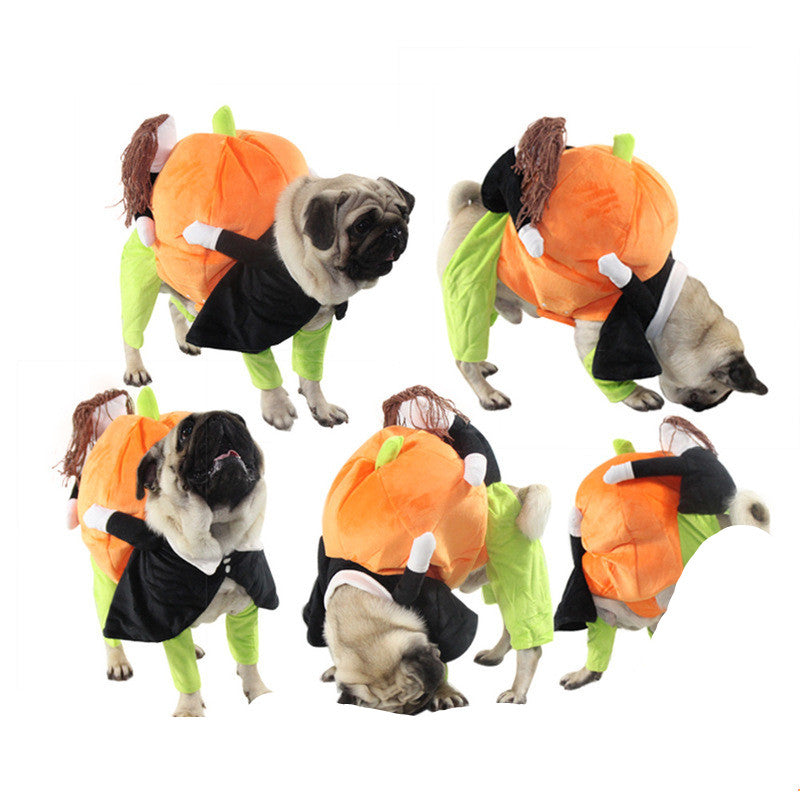 Pumpkin Pet Costume