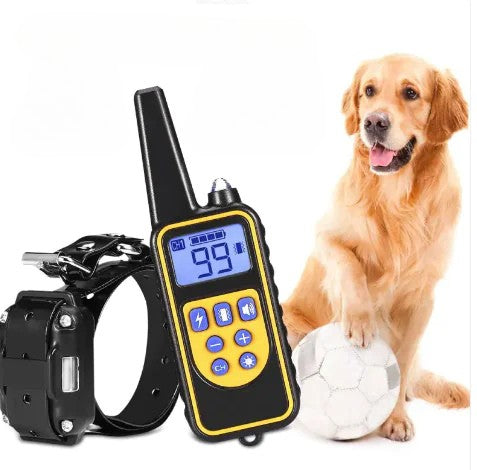Collar de adiestramiento con control remoto para perros