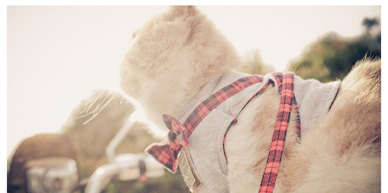 Set completo y ajustable para Gatos