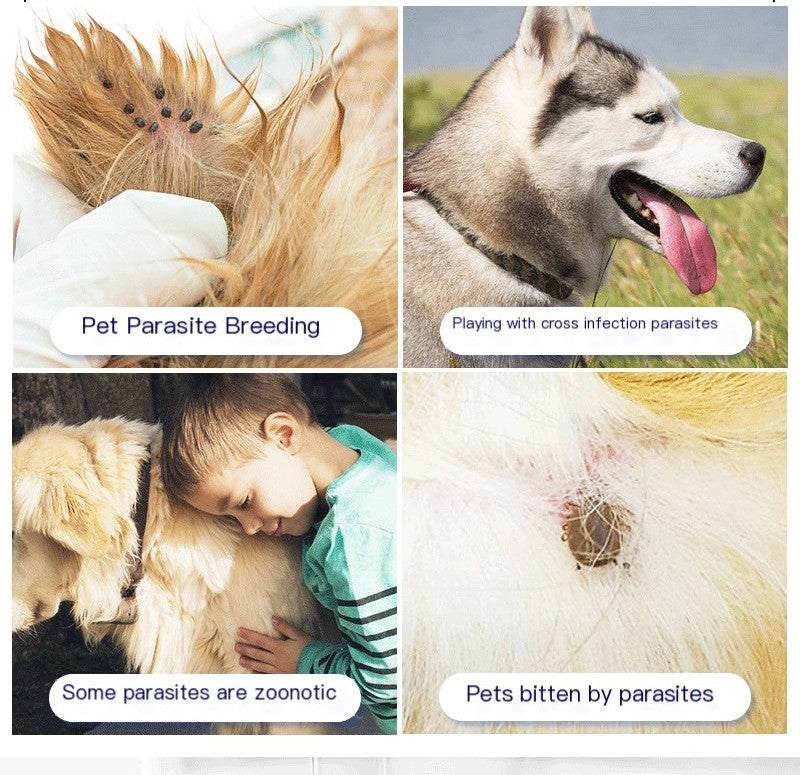 Nuevo Collar Antipulgas y Mosquitos para Gatos y Perros