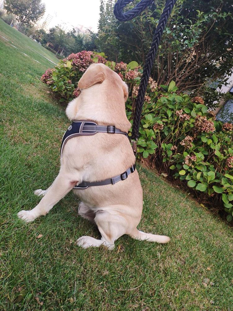 Arnés para Perros  en Forma de T Transpirable y Ajustable