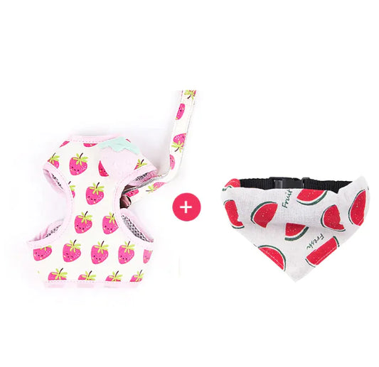 Arnés y Correa para Gatos con estampado de frutas