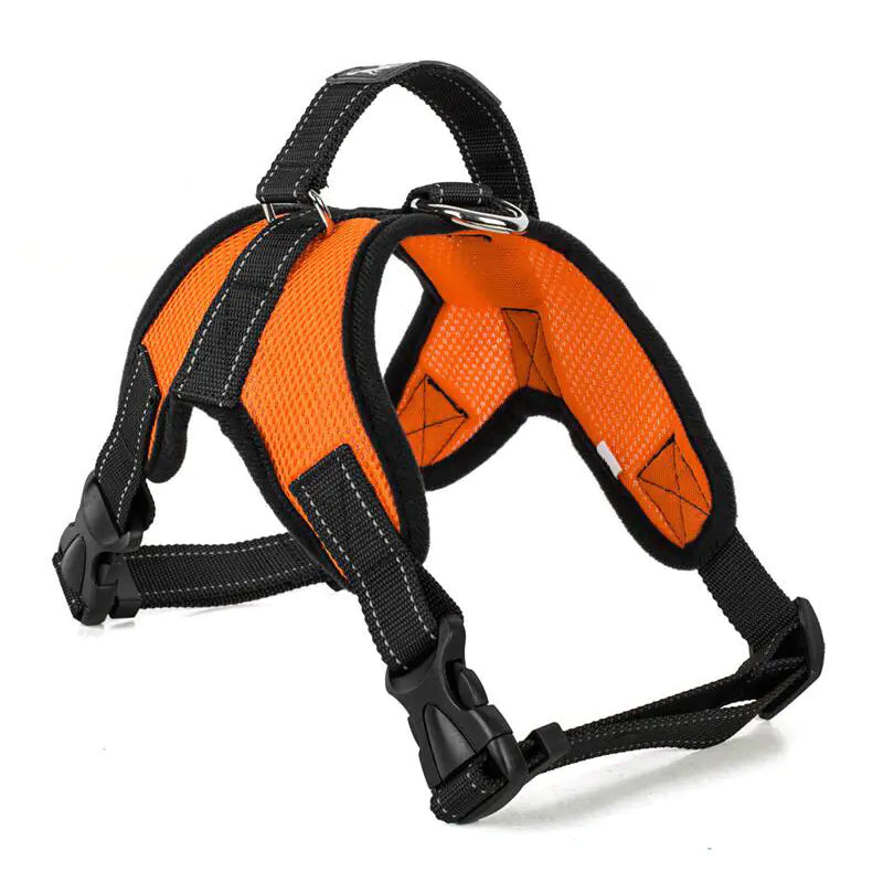 Arnés Transpirable y Ajustable para Perro