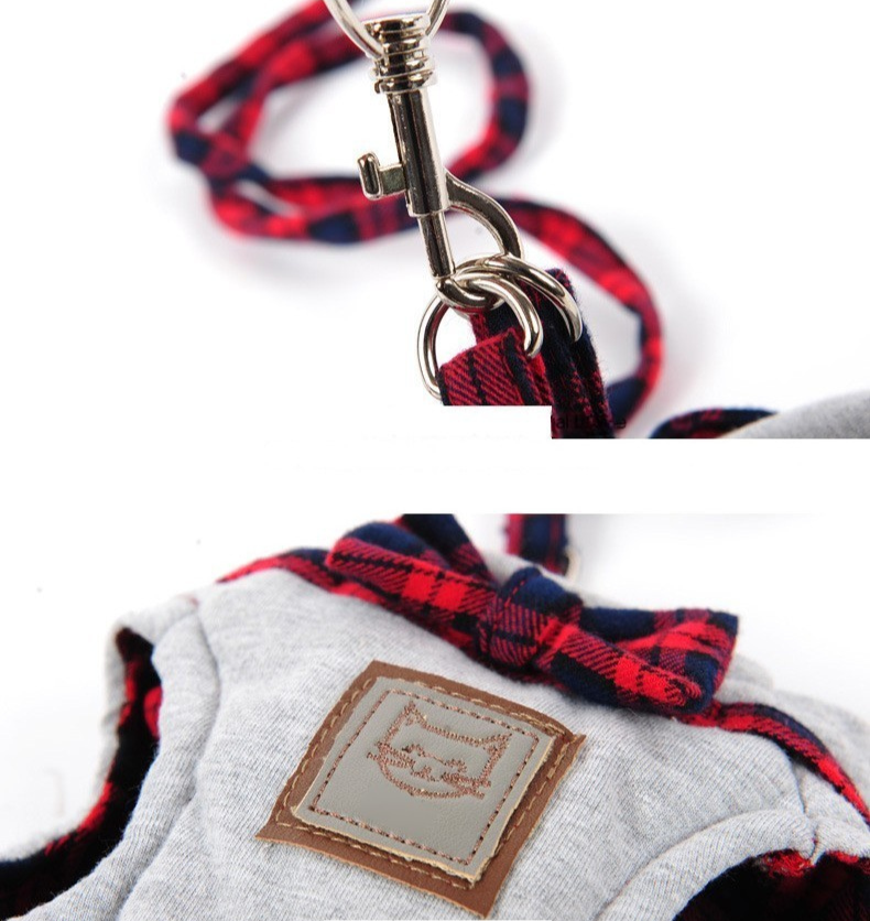 Set completo y ajustable para Gatos