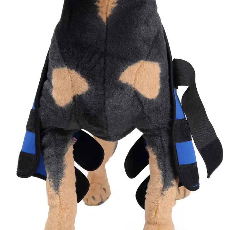 Comfortable and adjustable canine splint for pets