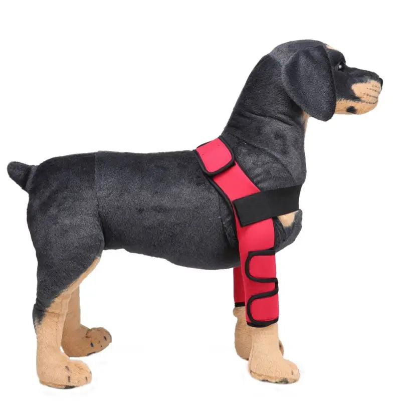 Comfortable and adjustable canine splint for pets