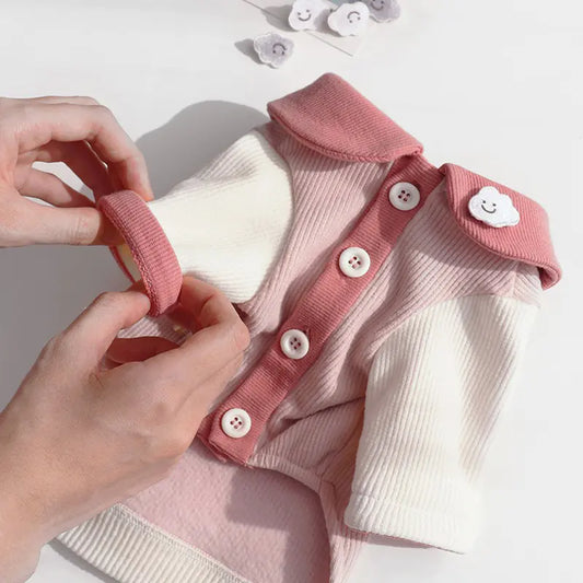 Disfraz de mascota para cachorro pequeño