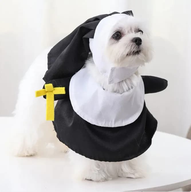 Disfraz Clásico de halloween para Mascotas