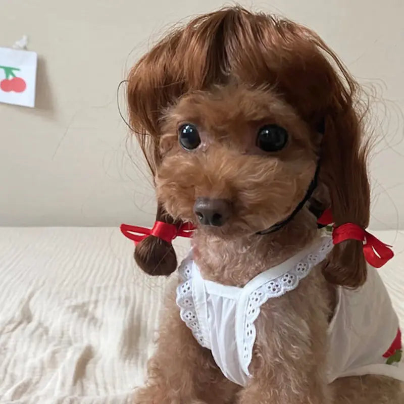 Halloween wigs for dogs and cats