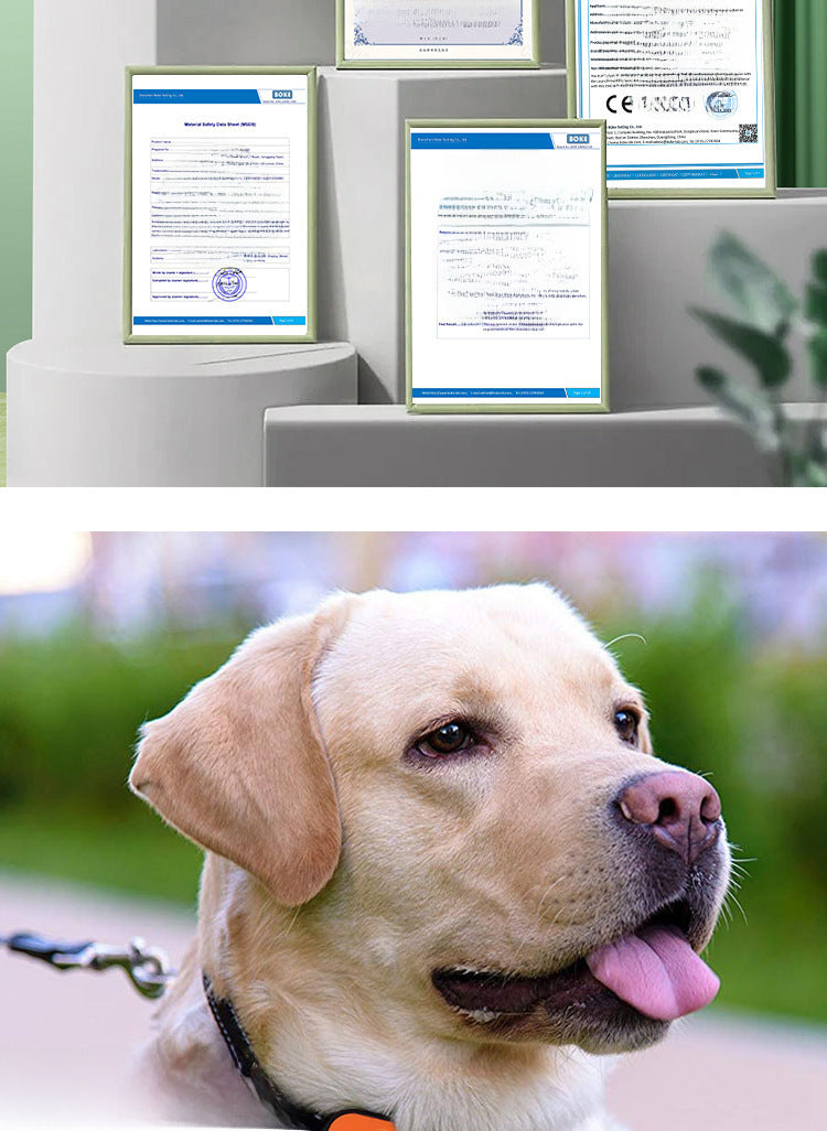 Rechargeable Ultrasonic Anti-Bark Dog Collar