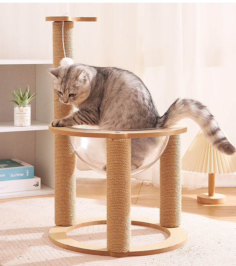 Double Cat Scratcher with Transparent Dome