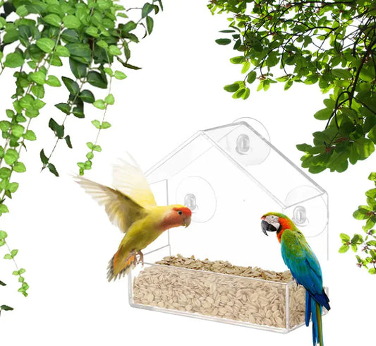 Comedero inteligente para aves ideal exteriores