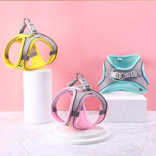 Arnés chaleco con correa para gato