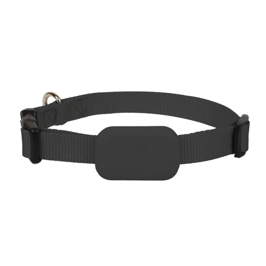 Collar Rastreador con GPS para mascotas