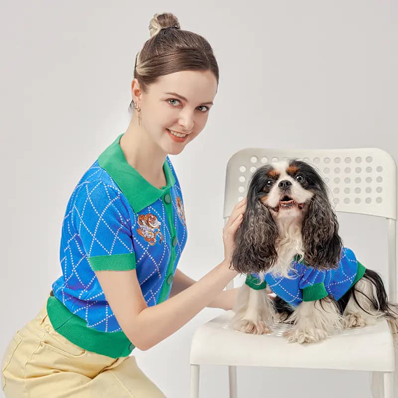 Blue Tiger Cardigan Pet Costume