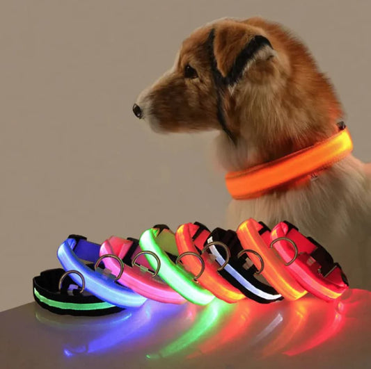 Collar de Seguridad con luz LED para perros