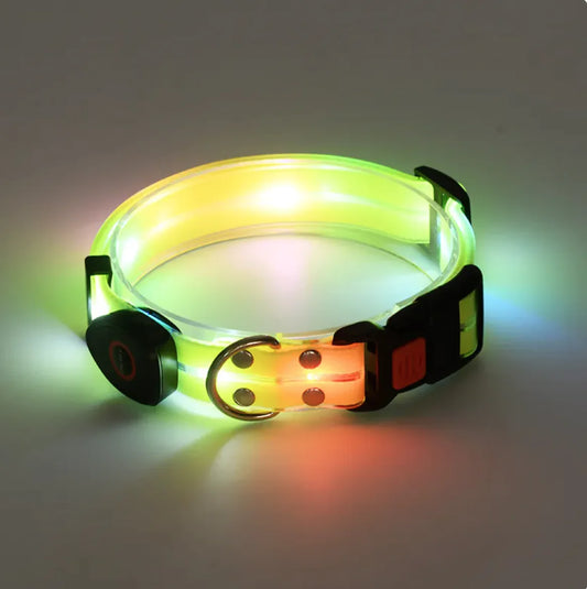 Collar LED Recargable para Mascotas con Correa