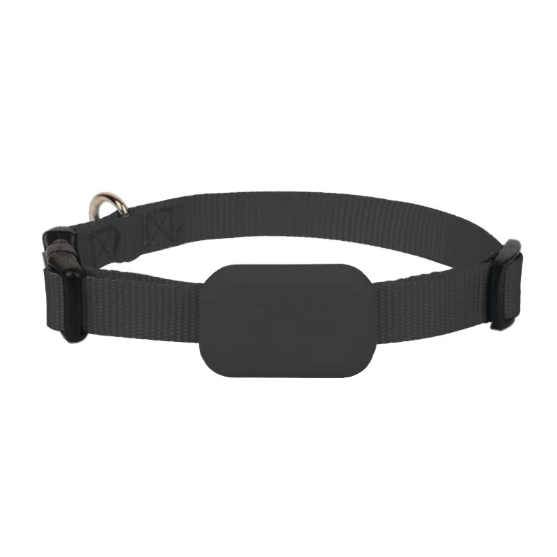 Collar Rastreador con GPS para mascotas