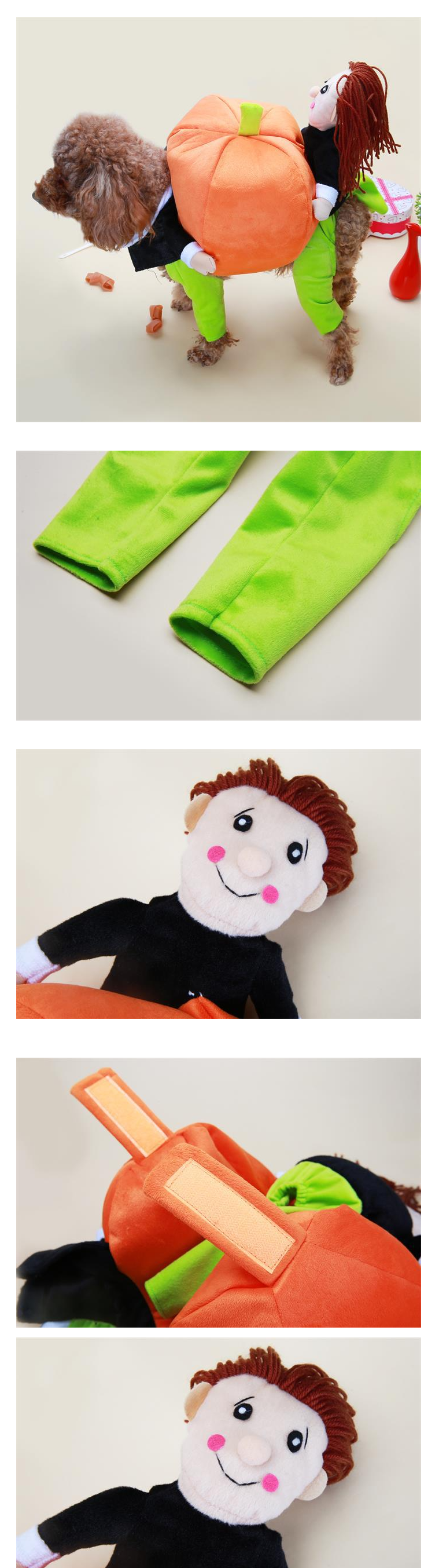 Pumpkin Pet Costume