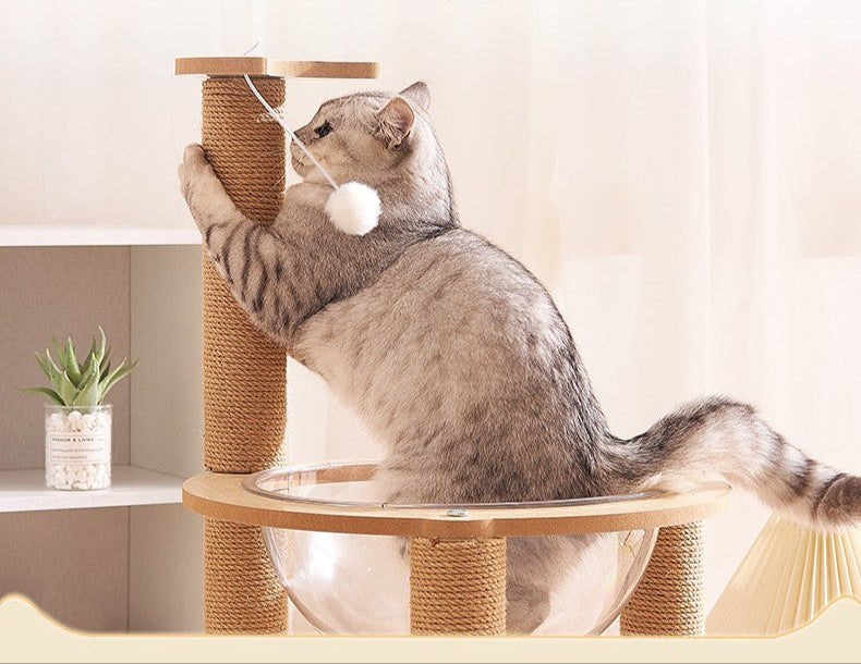 Tiragraffi doppio per gatti con cupola trasparente