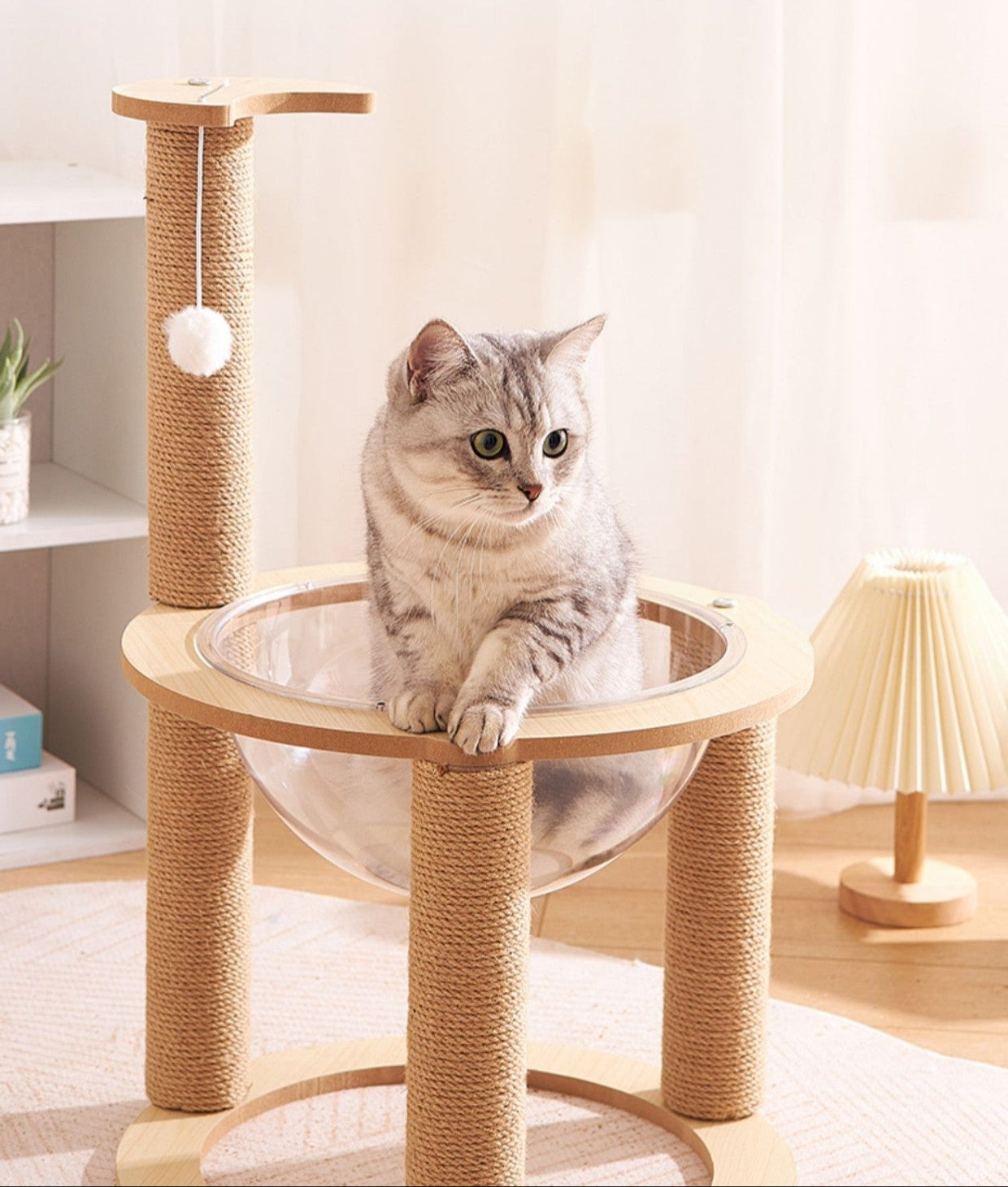 Tiragraffi doppio per gatti con cupola trasparente