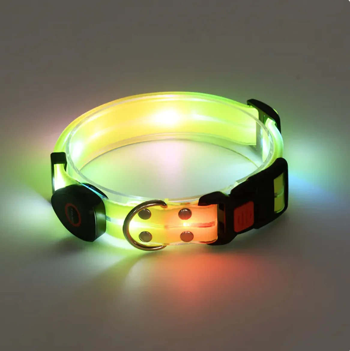 Rechargeable LED Pet Collar with Leash