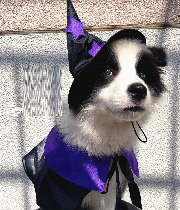 Satin Wizard Pet Costume
