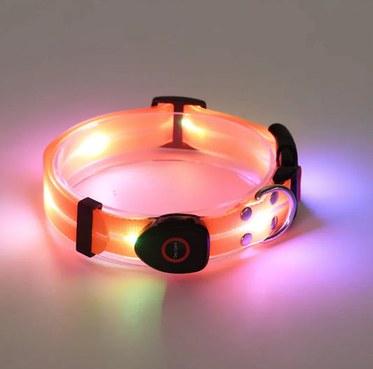 Collar LED Recargable para Mascotas con Correa