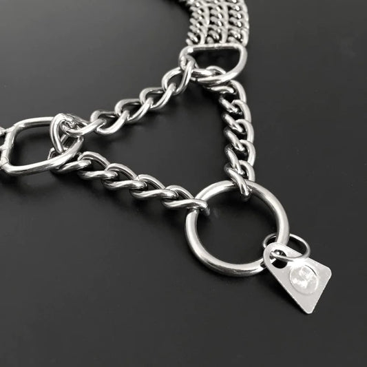 Double chain dog training collar