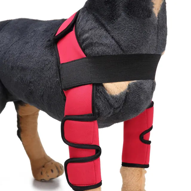 Comfortable and adjustable canine splint for pets
