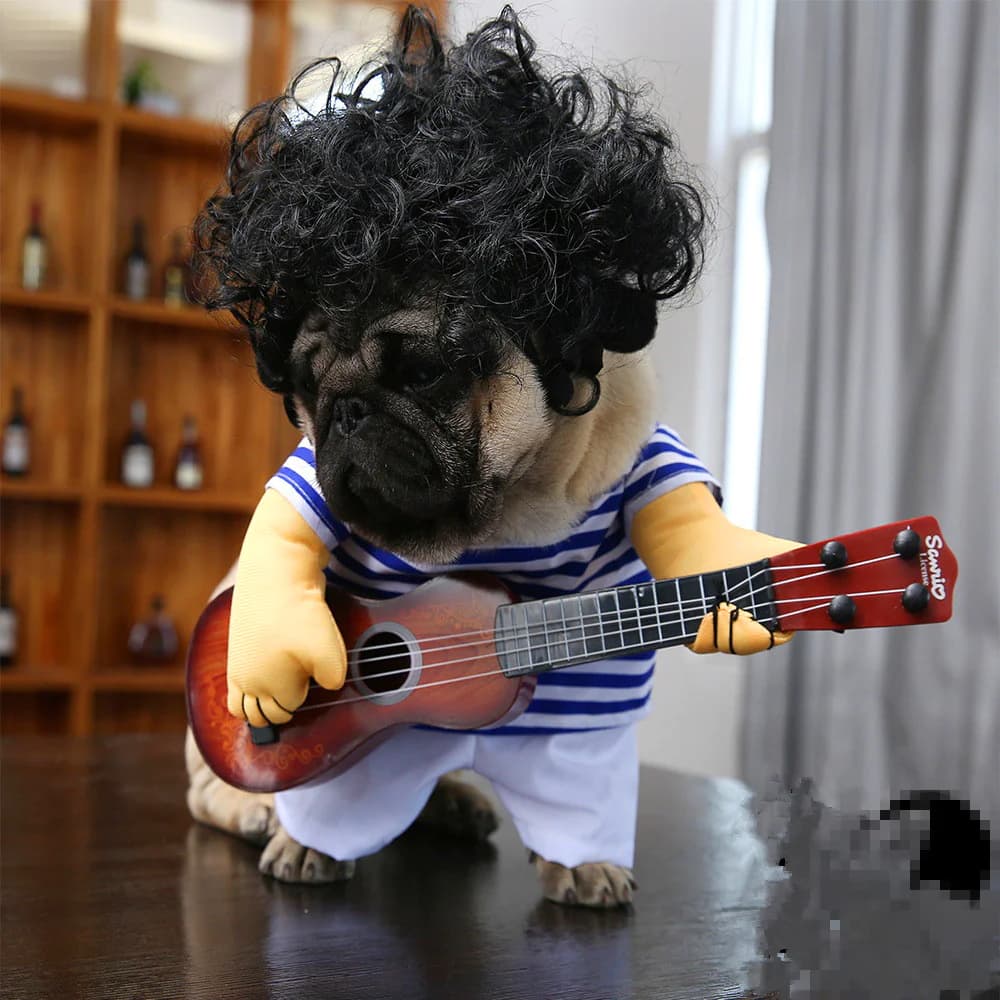 Costume da rocker per animali domestici