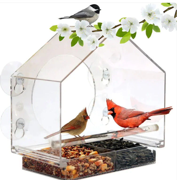 Smart bird feeder ideal for outdoors