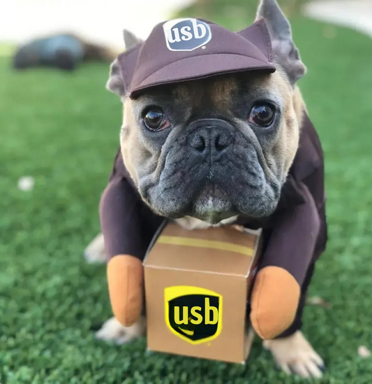 Disfraz de Repartidor para Mascotas