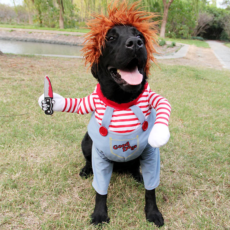Pet Doll Costume