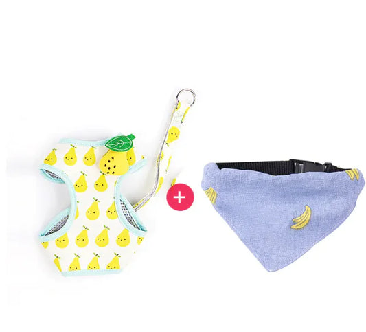 Arnés y Correa para Gatos con estampado de frutas