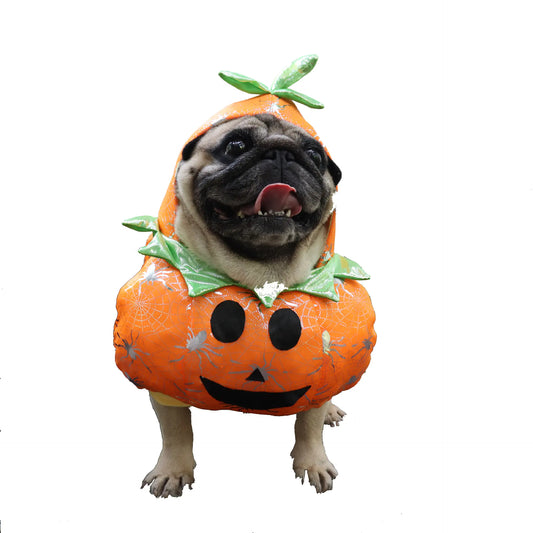 Disfraz de calabaza para perros y gatos