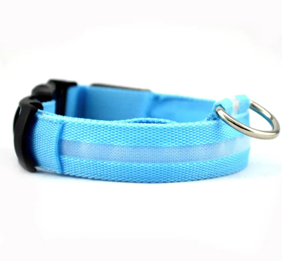 LED Safety Collar