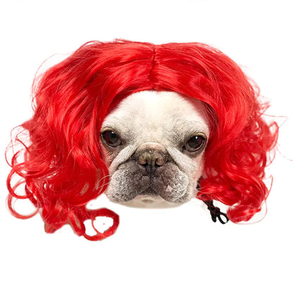 Halloween wigs for dogs and cats