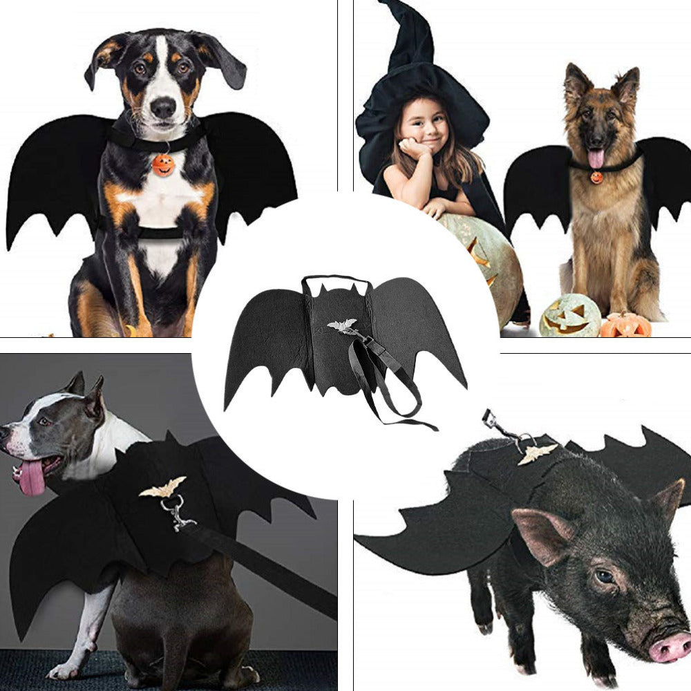 Bat Wings Pet Costume